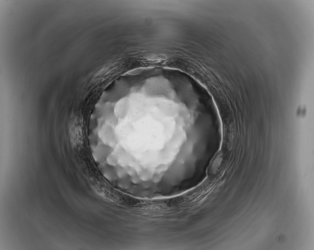 X0000099301394200805090943