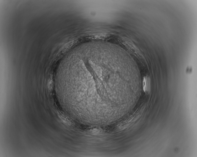 X0000099301395200805090943