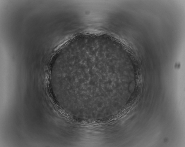 X0000099301397200805090943