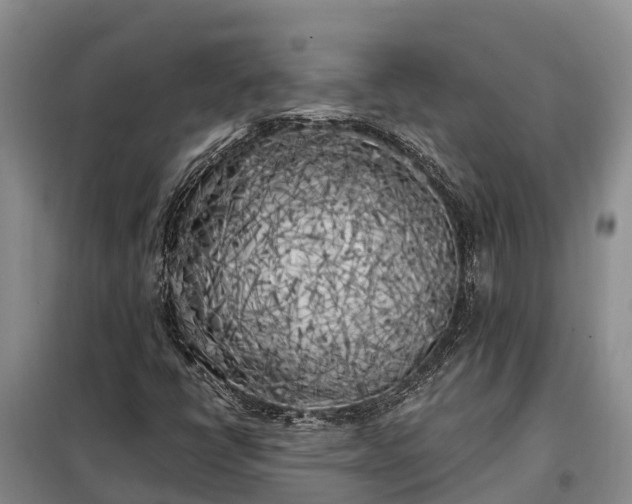 X0000099301398200805090943
