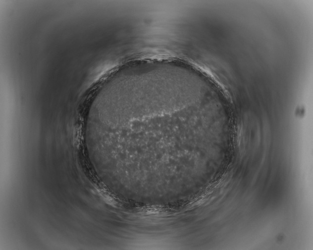 X0000099301399200805090943