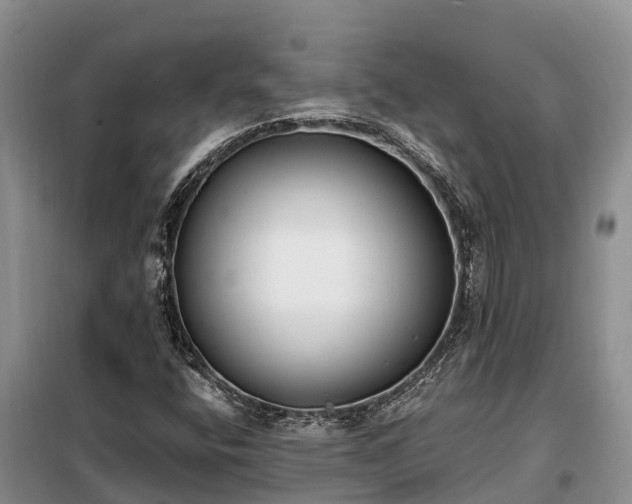 X0000099301400200805090943