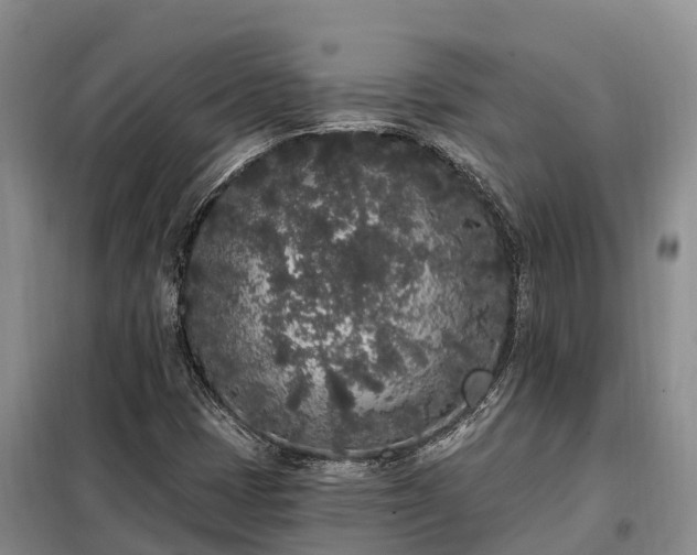 X0000099301401200805090943