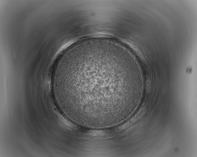 X0000099301402200805090943