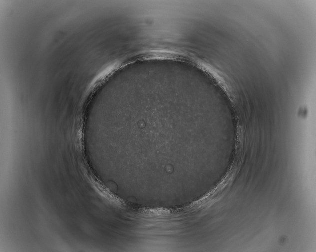 X0000099301403200805090943