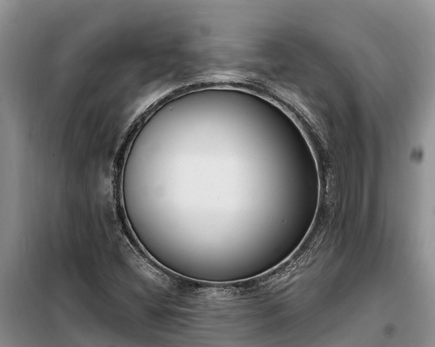 X0000099301404200805090943