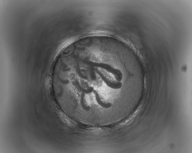 X0000099301405200805090943