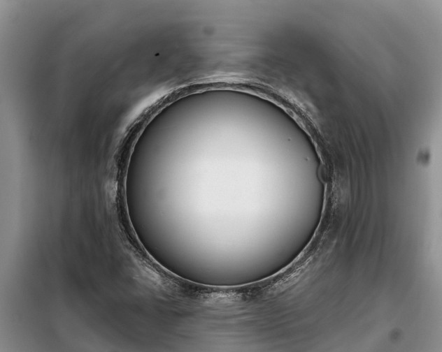 X0000099301406200805090943