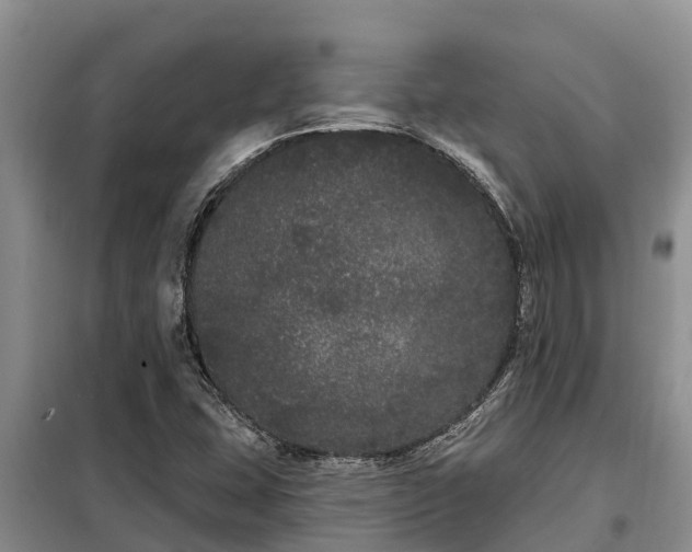 X0000099301407200805090943