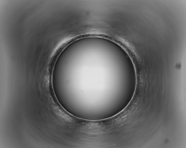 X0000099301408200805090943