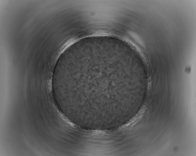 X0000099301409200805090943