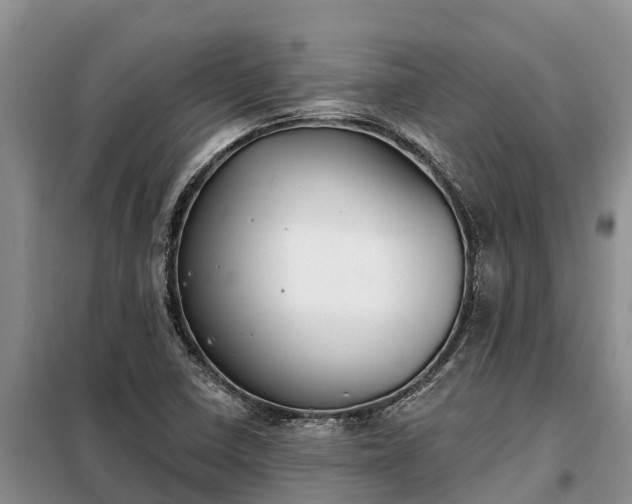 X0000099301410200805090943