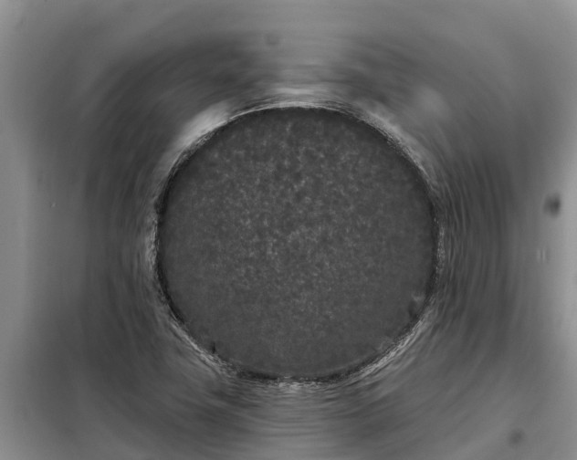 X0000099301411200805090943