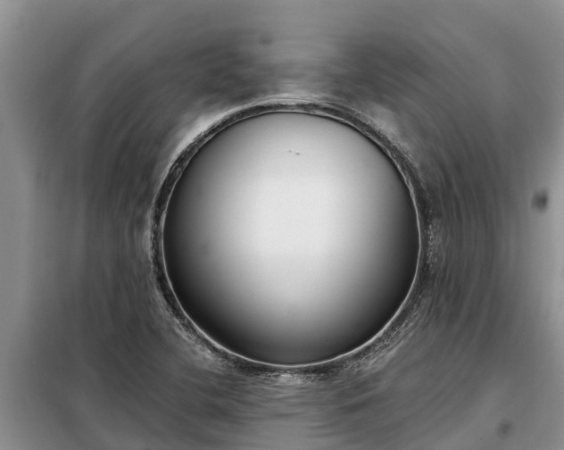 X0000099301412200805090943