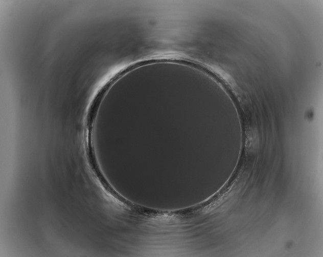 X0000099301414200805090943