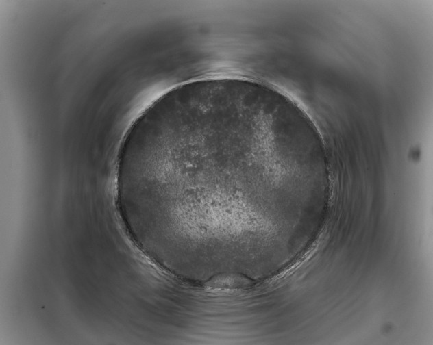 X0000099301415200805090943