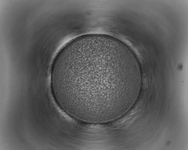 X0000099301416200805090943