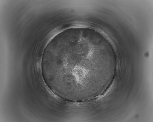 X0000099301417200805090943