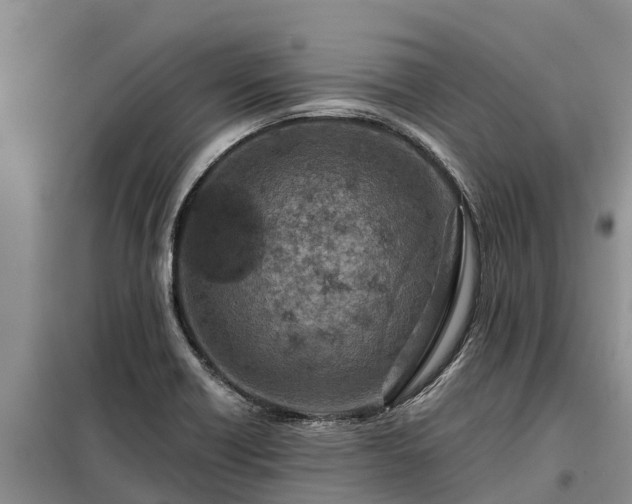 X0000099301418200805090943