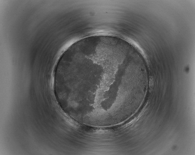 X0000099301419200805090943