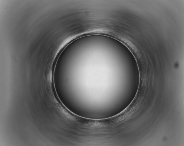 X0000099301420200805090943