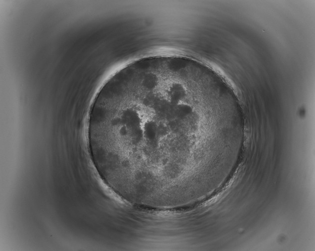 X0000099301421200805090943