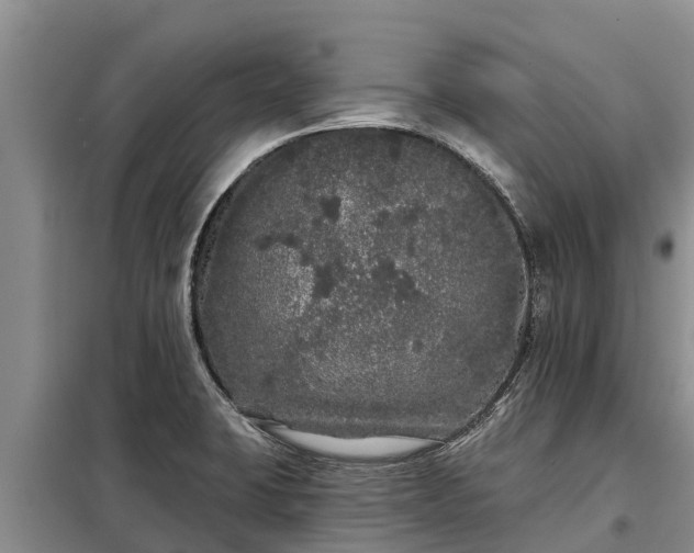 X0000099301423200805090943