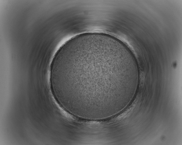 X0000099301424200805090943