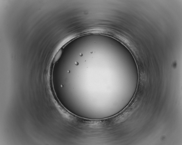 X0000099301426200805090943