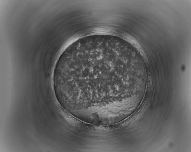 X0000099301427200805090943