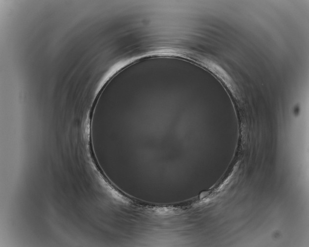 X0000099301428200805090943