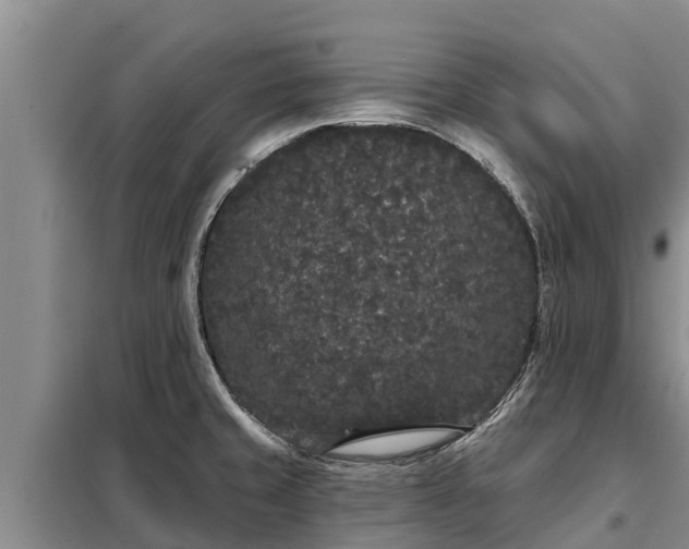 X0000099301429200805090943