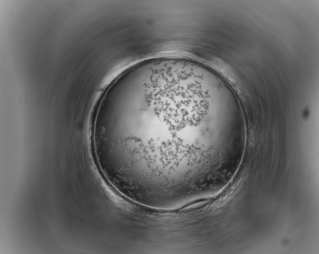 X0000099301430200805090943