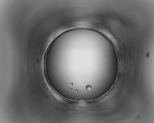 X0000099301431200805090944