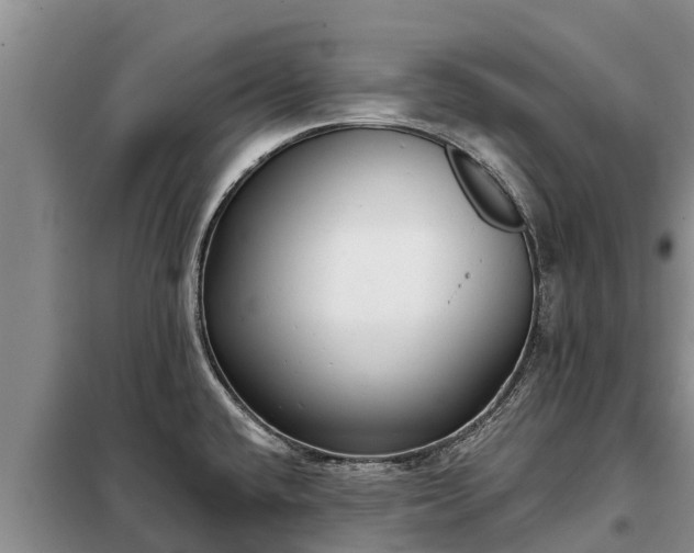 X0000099301432200805090944