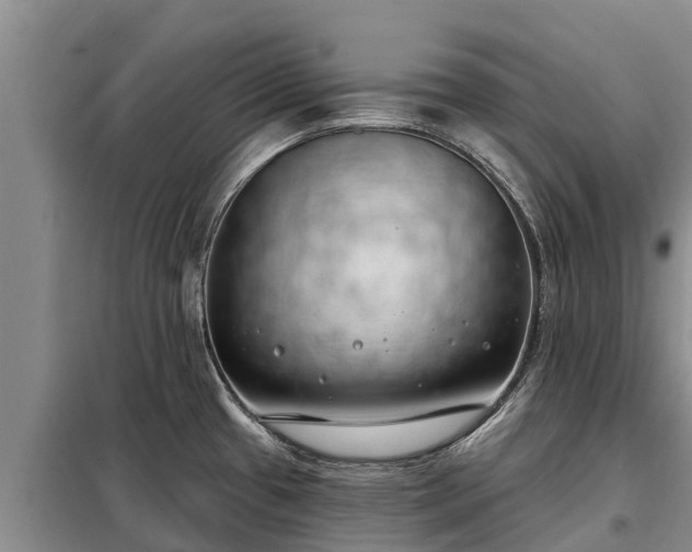 X0000099301433200805090944