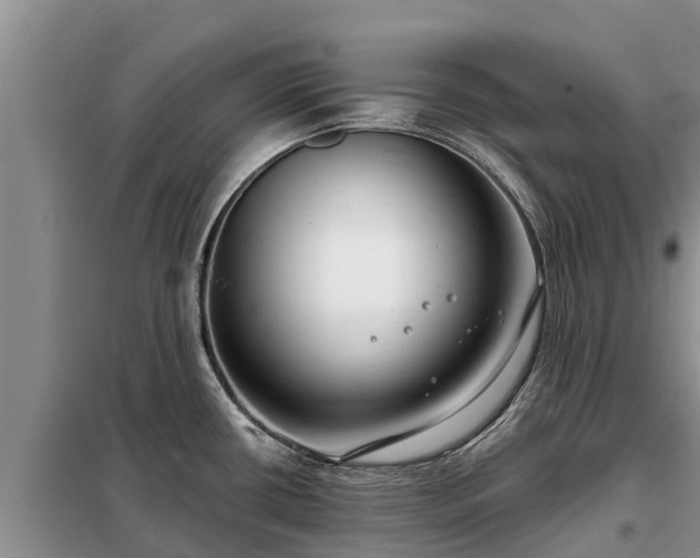 X0000099301434200805090944