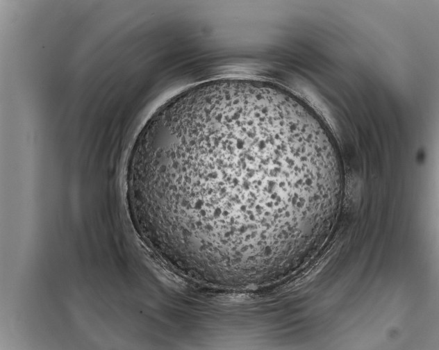 X0000099301435200805090944