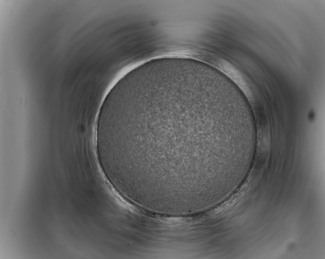 X0000099301436200805090944