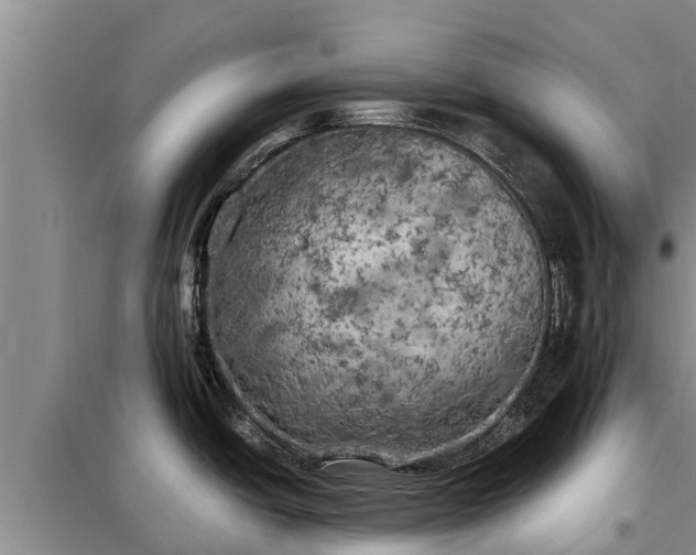 X0000099301438200805090944