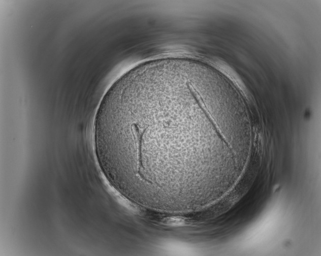 X0000099301439200805090944