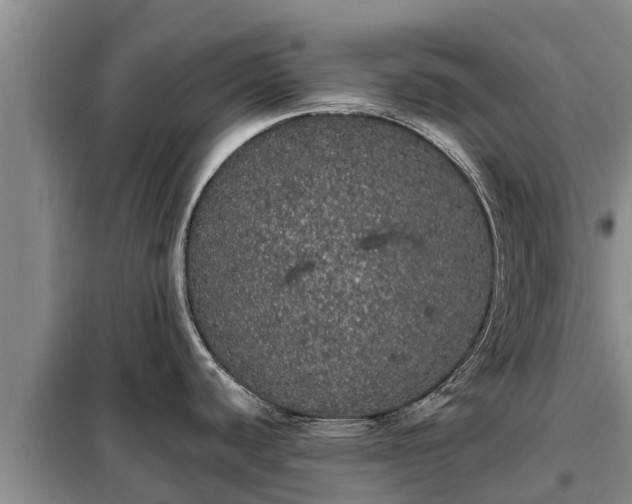 X0000099301440200805090944