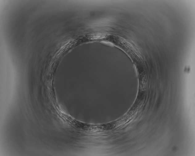 X0000099301441200805090943