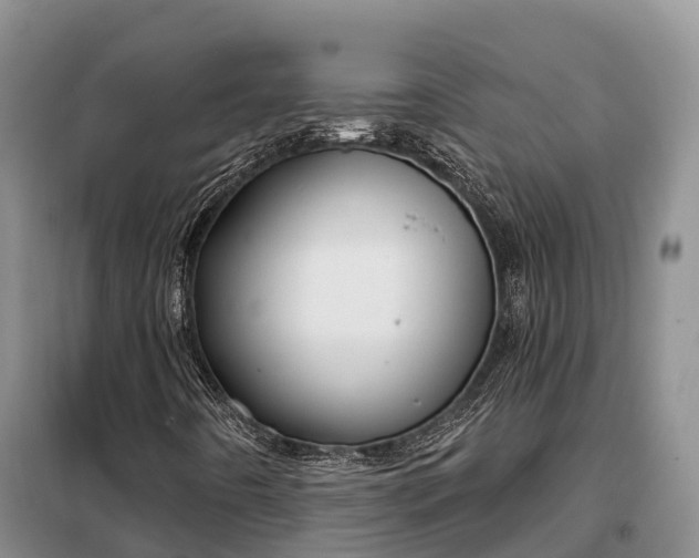 X0000099301442200805090943