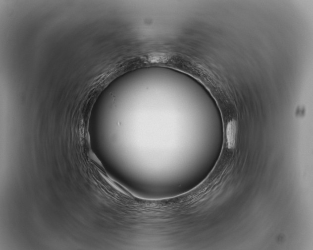 X0000099301443200805090943