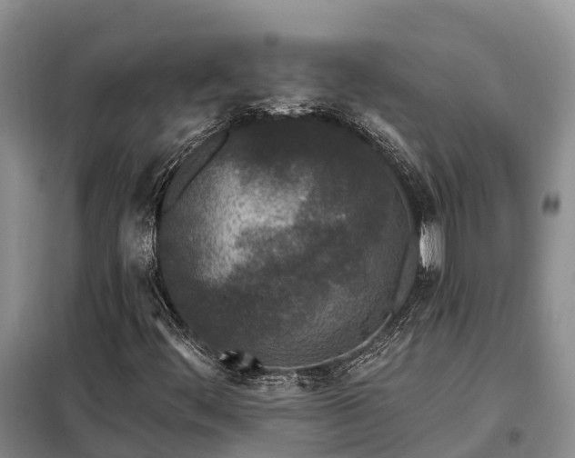 X0000099301444200805090943