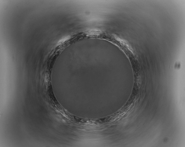 X0000099301445200805090943