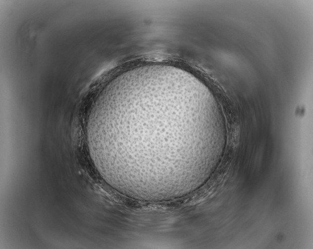 X0000099301446200805090943