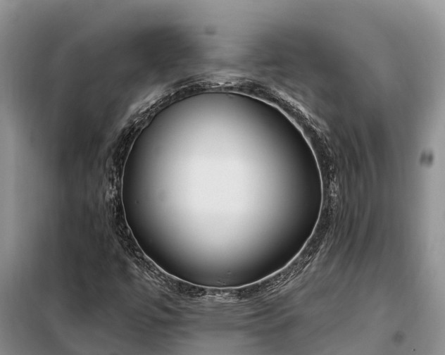 X0000099301447200805090943