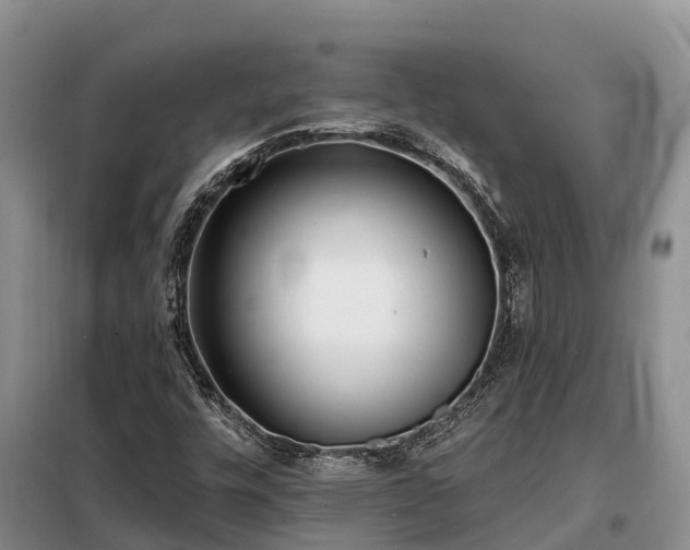 X0000099301448200805090943